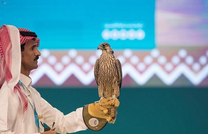 صقر طبرجل يحطم الرقم القياسي بمزاد نادي الصقور السعودي الثاني