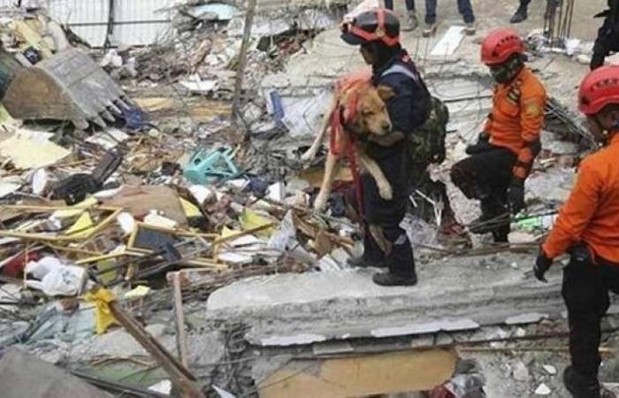 مقتل 3 أشخاص وإصابة 7 في زلزال ضرب جزيرة بالي الإندونيسية