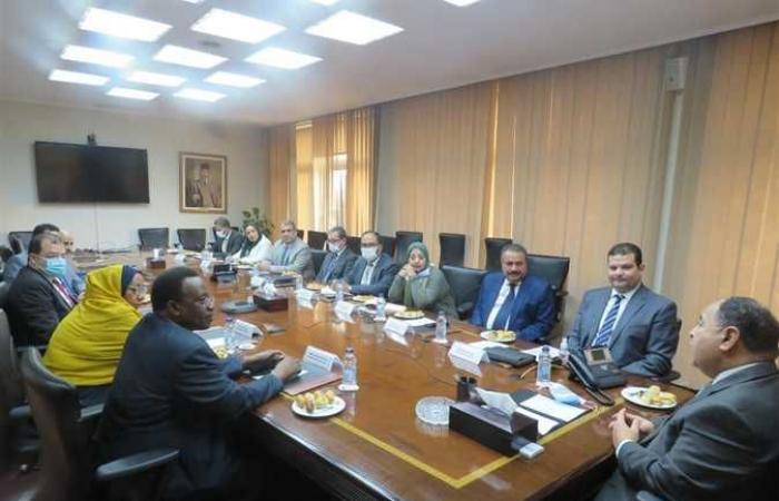 «معيط» خلال لقاء «أمين الضرائب السودانية»: مصر حولت التحديات إلى فرص تنموية