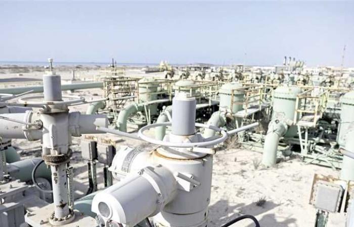 سنجر: برميل النفط سيصل لـ 100 دولار .. ومصر أمام تحد كبير بجانب أزمات المنطقة (فيديو)