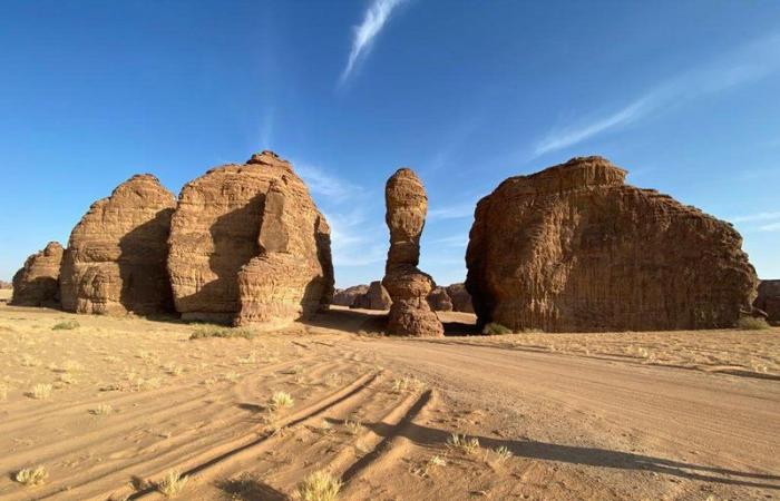 فريدة من نوعها.. "سبق" تتجول في "محمية شرعان" وتوثق التناغم البيئي للطبيعة.. صور