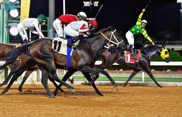 نادي سباقات الخيل يقيم سباقه الـ36 على كأسي إمارة نجران ووزارة الداخلية