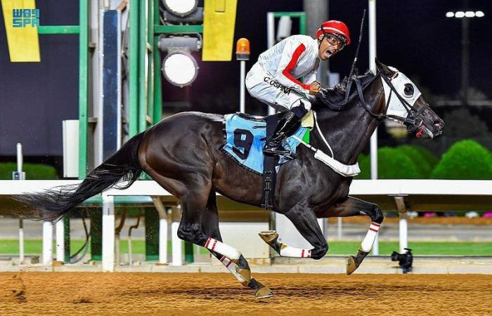 نادي سباقات الخيل يقيم سباقه الـ36 على كأسي إمارة نجران ووزارة الداخلية