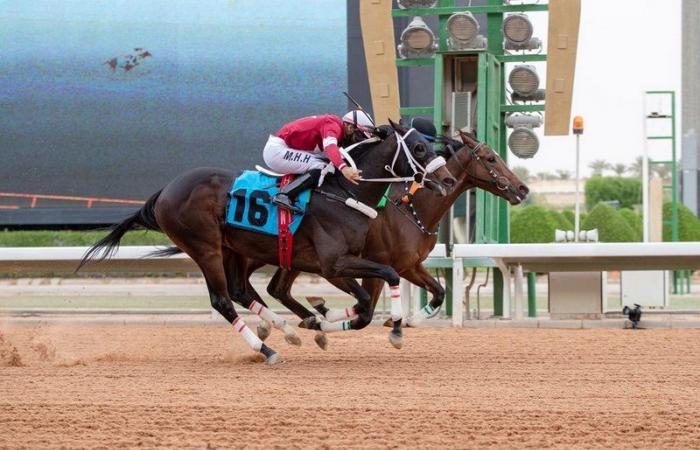 إسطبل المنقوش يخطف جائزة نادي سباقات الخيل التقديرية