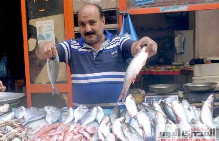 تراجع أسعار الأسماك في سوق العبور .. والبلطي بــ24 جنيهًا