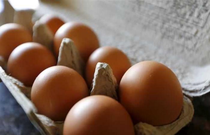 بعد الأزمة الأخيرة.. «زراعة الإسكندرية» تعلن توافر منفذ بيع بيض المائدة بسعر مناسب