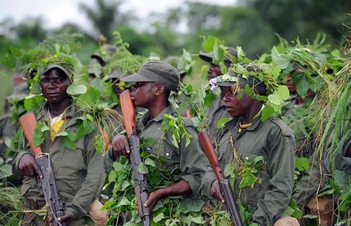 مقتل 4 جنود في الكونغو الديمقراطية