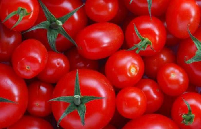 انخفاض أسعار الخضروات في سوق العبور.. والطماطم بـ 2.00 جنيه