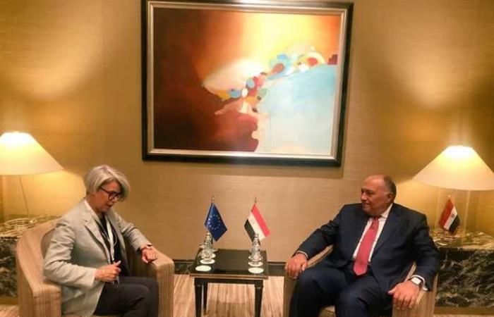 وزير الخارجية يبحث مع مسؤولة أوربية قضية سد النهضة والأوضاع في السودان