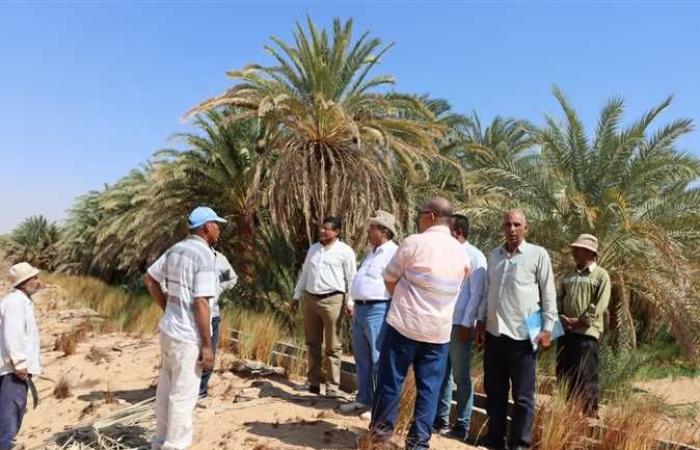«الزراعة» تنشر تفاصيل خطة دعم مزارعي وسط سيناء لتحقيق الأمن الغذائي بالمحافظة