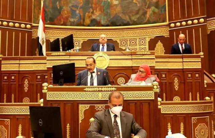 برلمانية «المصري الديمقراطي» بالشيوخ تتحفظ على قانون حقوق المسنين