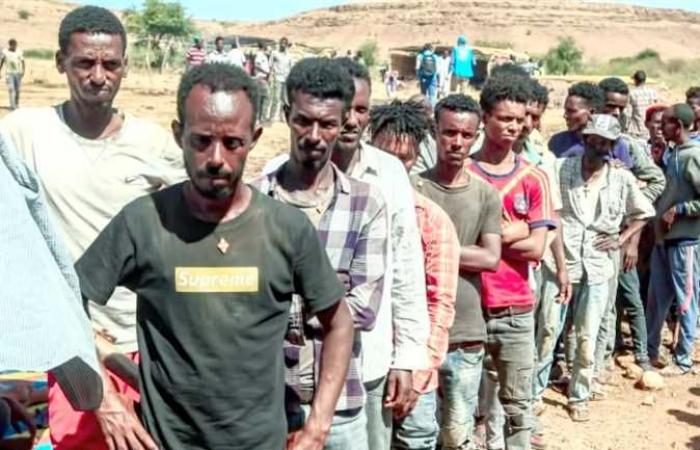 ترتكب سيلا من الانتهاكات.. منظمات حقوقية تحذر من فظائع القوات الإثيوبية ضد المدنيين 