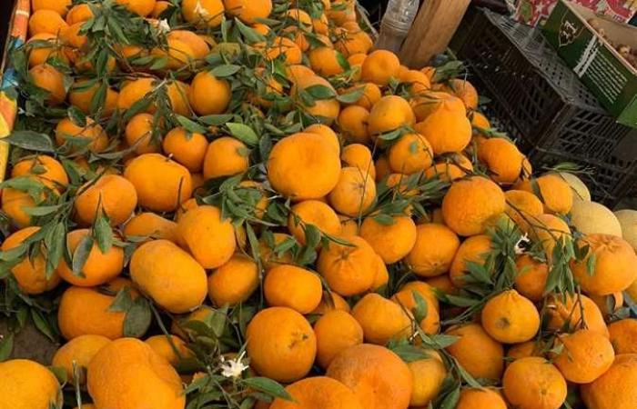 ارتفاع أسعار اليوسفي وإنخفاض البرتقال بسوق العبور