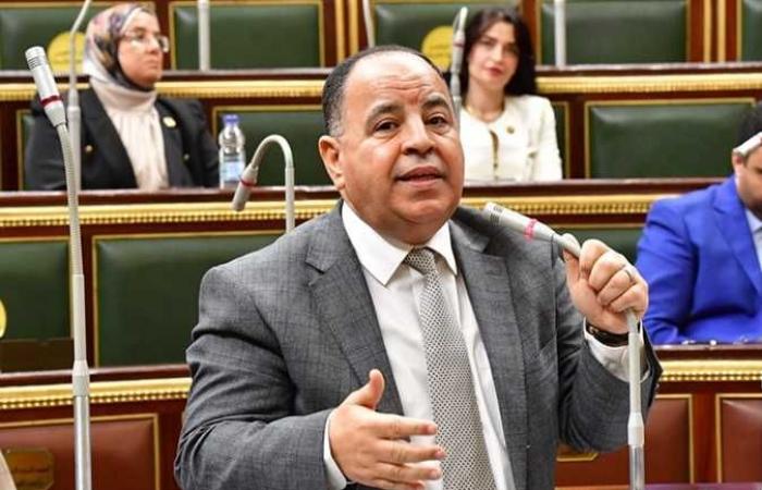 وزير المالية: الاستثمارات القاطرة الأساسية للنمو الاقتصادى لتوفير فرص العمل وتحسين جودة حياة المصريين