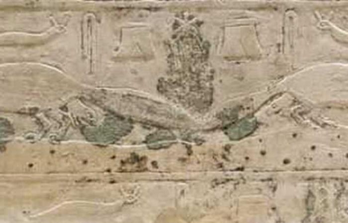 «جسفنو.. فأر الخيل».. لماذا اهتم المصري القديم برسمه على الجدران؟