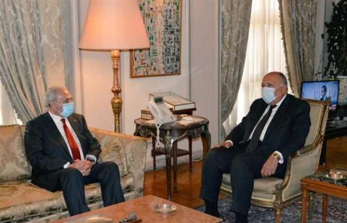 وزير الخارجية يؤكد دعم مصر المتواصل للقضية الفلسطينية