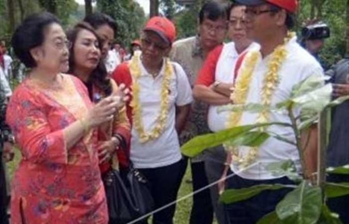 رئيس إندونيسيا السابقة تدعو لمواجهة التغيرات المناخية والزلازل بزراعة الأشجار