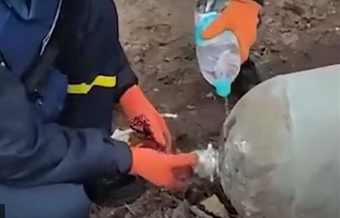 تفكيك قنبلة روسية ضخمة بـ«زجاجة مياه».. «لحظة تحبس الأنفاس تحت ضغط شديد» (فيديو)