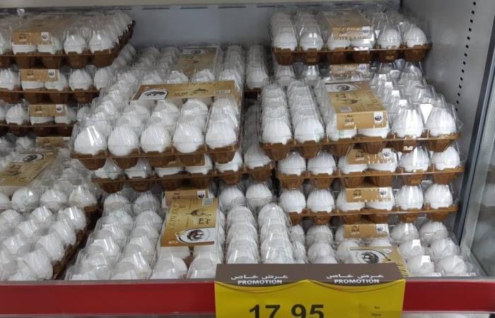 تذبذب أسعار البيض في الأسواق