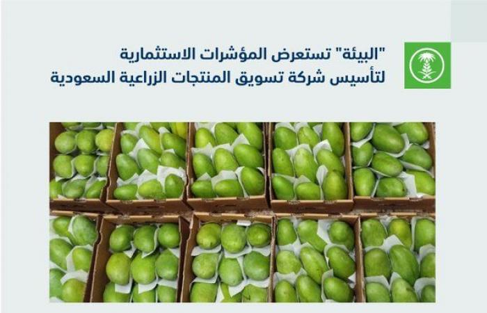 "البيئة" السعودية تستعرض مؤشرات تأسيس شركة لتسويق المنتجات الزراعية
