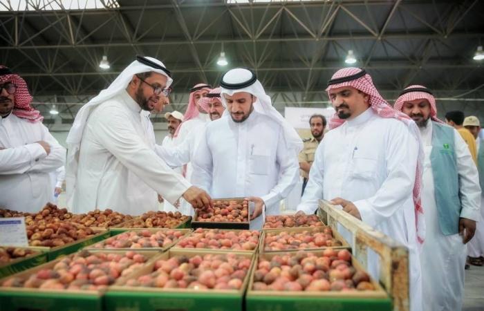 مدير عام بيئة القصيم يتفقد سير العمل بمهرجان سكرية المذنب الحمراء