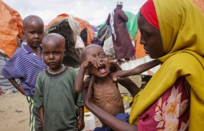 الأمم المتحدة: الصومال على حافة المجاعة