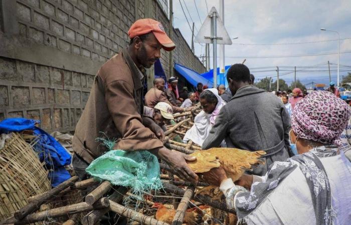 إثيوبيا تخفض اقتصادها لمهاجمة تيغراي