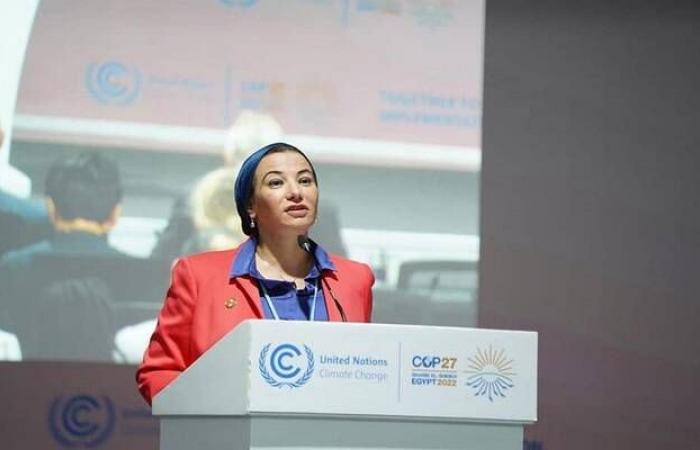 وزيرة مصرية: يجب وضع الزراعة والأمن العذائي في قلب مفاوضات التغير المناخي