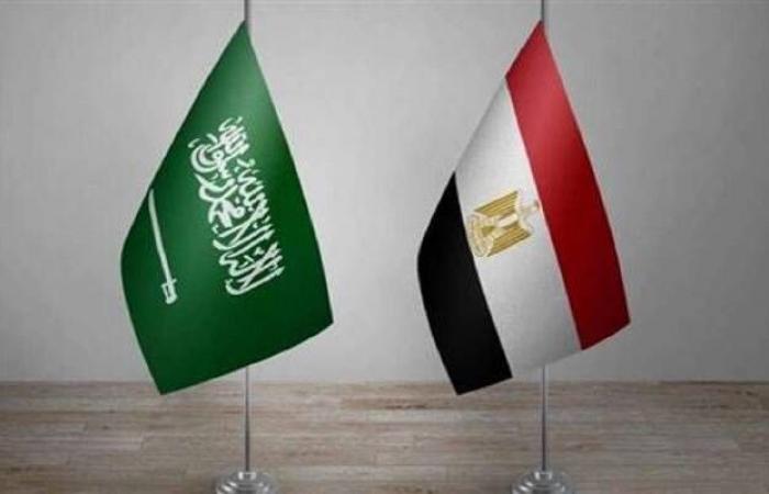 جمعية رجال الأعمال: فرص جديدة للشراكة المصرية السعودية في إنشاء المدن المستدامة
