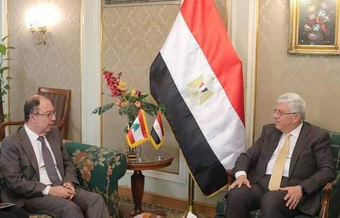 مصر ولبنان تبحثان التعاون في مجالي التعليم العالي والبحث العلمي