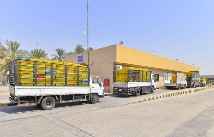 السعودية تلزم العاملين بنشاط نقل البضائع بإصدار وثيقة إلكترونية