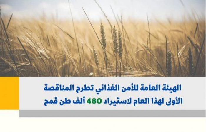 هيئة الأمن الغذائي السعودية تطرح مناقصة لاستيراد 480 ألف طن قمح