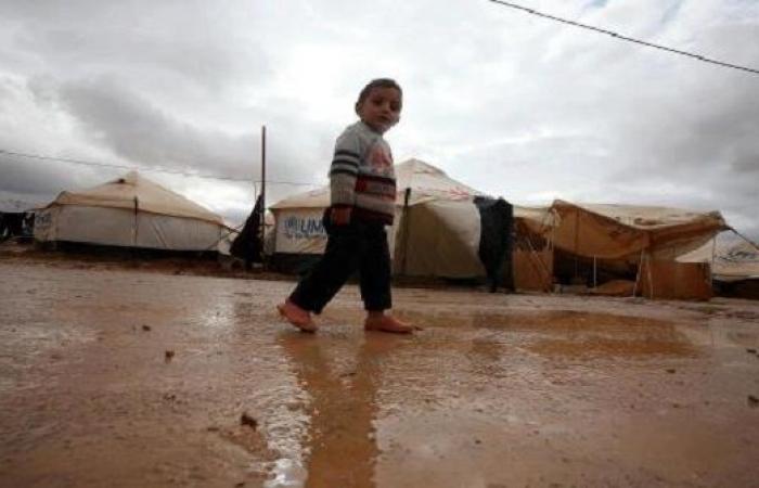 الصفدي : آليات لبدء تنظيم عمليات عودة طوعية للاجئين السوريين