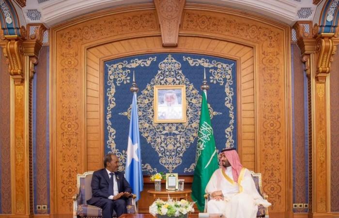 ولي العهد والرئيس الصومالي يستعرضان التعاون بين البلدين