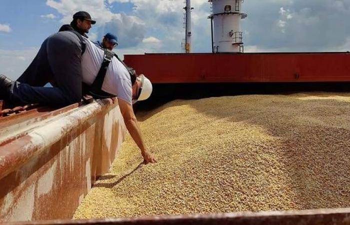 روسيا: لم نتخذ قرار بشأن اتفاق تصدير الحبوب عبر البحر الأسود