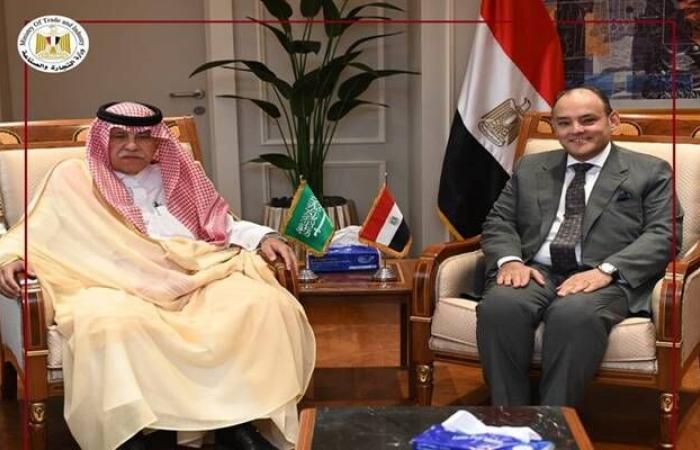 وزير الصناعة: 6.3 مليار دولار قيمة الاستثمارات السعودية في مصر