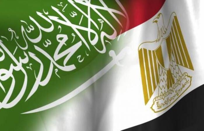 مصر والسعودية تستعدان لتركيب الكابل البحري للربط الكهربائي