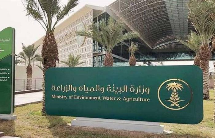 خطة لتطوير قطاع النفايات لإعادة تدوير 95% ودعم الناتج المحلي بـ 120 مليار ريال