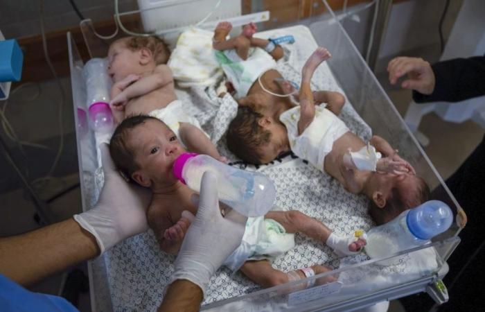 اليأس يسيطر على الأسر لصعوبة العثور على حليب الأطفال في غزة