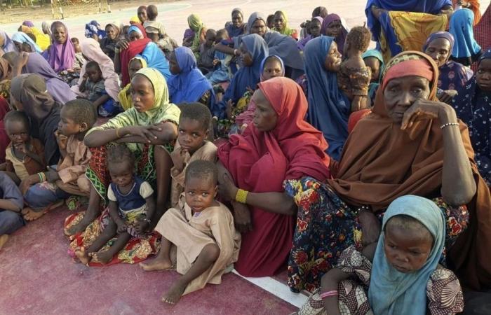 350 رهينة ينقذها الجيش النيجيري من بوكو حرام