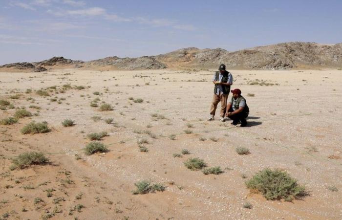 إصدار 246 خريطة مكانية لحالة التصحر بالسعودية لمواجهة تدهور الأراضي