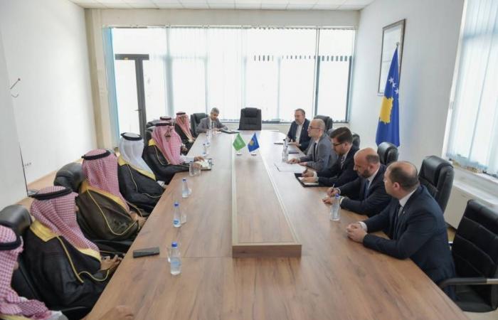 لجنة شورية تلتقى مسؤولين كوسوفيين