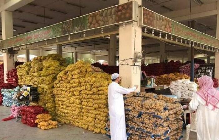 الإحصاء: معدل التضخم بالسعودية بأسعار الجملة يسجل 3.2% خلال مايو 2024