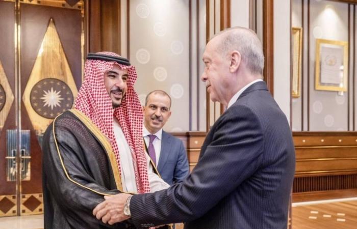 وزير الدفاع والرئيس التركي يستعرضان العلاقات الثنائية