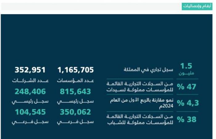 السجلات التجارية لـ"صناعة الألعاب الإلكترونية" بالسعودية ترتفع 29% بالربع الثاني