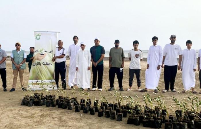 مبادرة لزراعة المانجروف بالليث