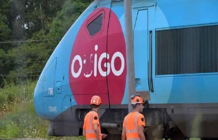 حركة القطارات تعود إلى طبيعتها في فرنسا بعد إصلاح الأضرار