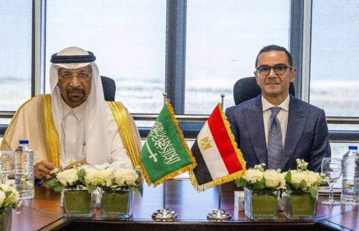 مصر والسعودية تبحثان تعزيز التعاون الاقتصادي وتكامل الاستثمار