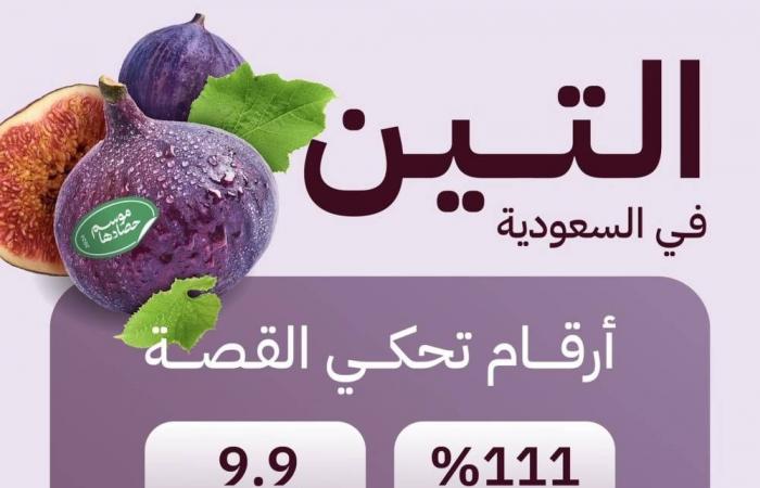 السعودية تحقق الاكتفاء الذاتي من التين بنسبة 111%