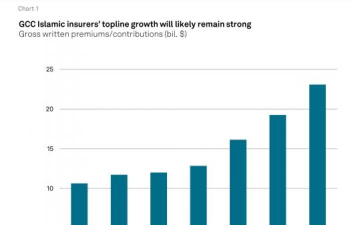 "إس أند بي":السوق السعودية المحرك الرئيسي لنشاط التأمين الإسلامي بالخليج